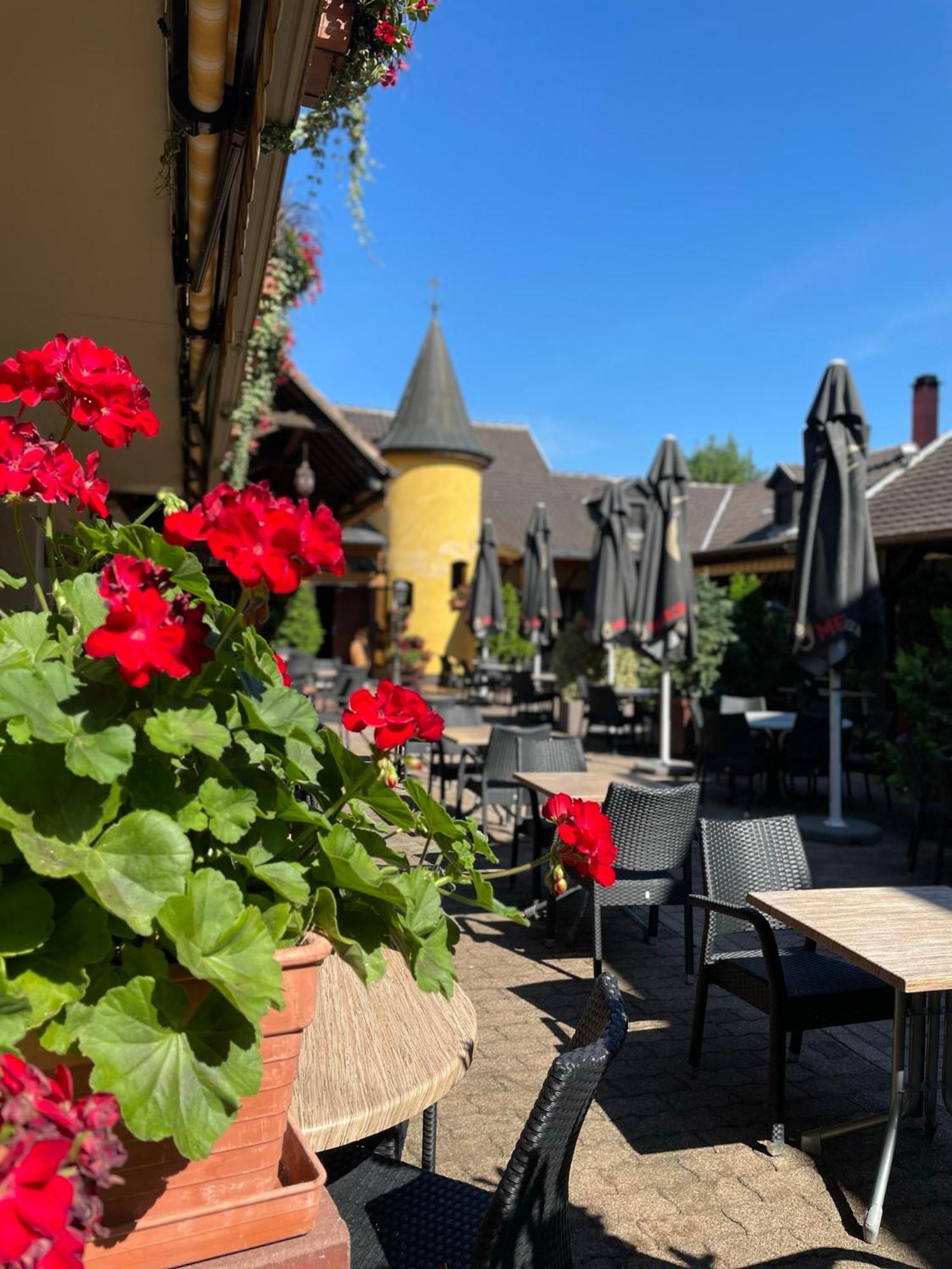 Hotel Restaurant Les Alizes Lipsheim Exterior photo