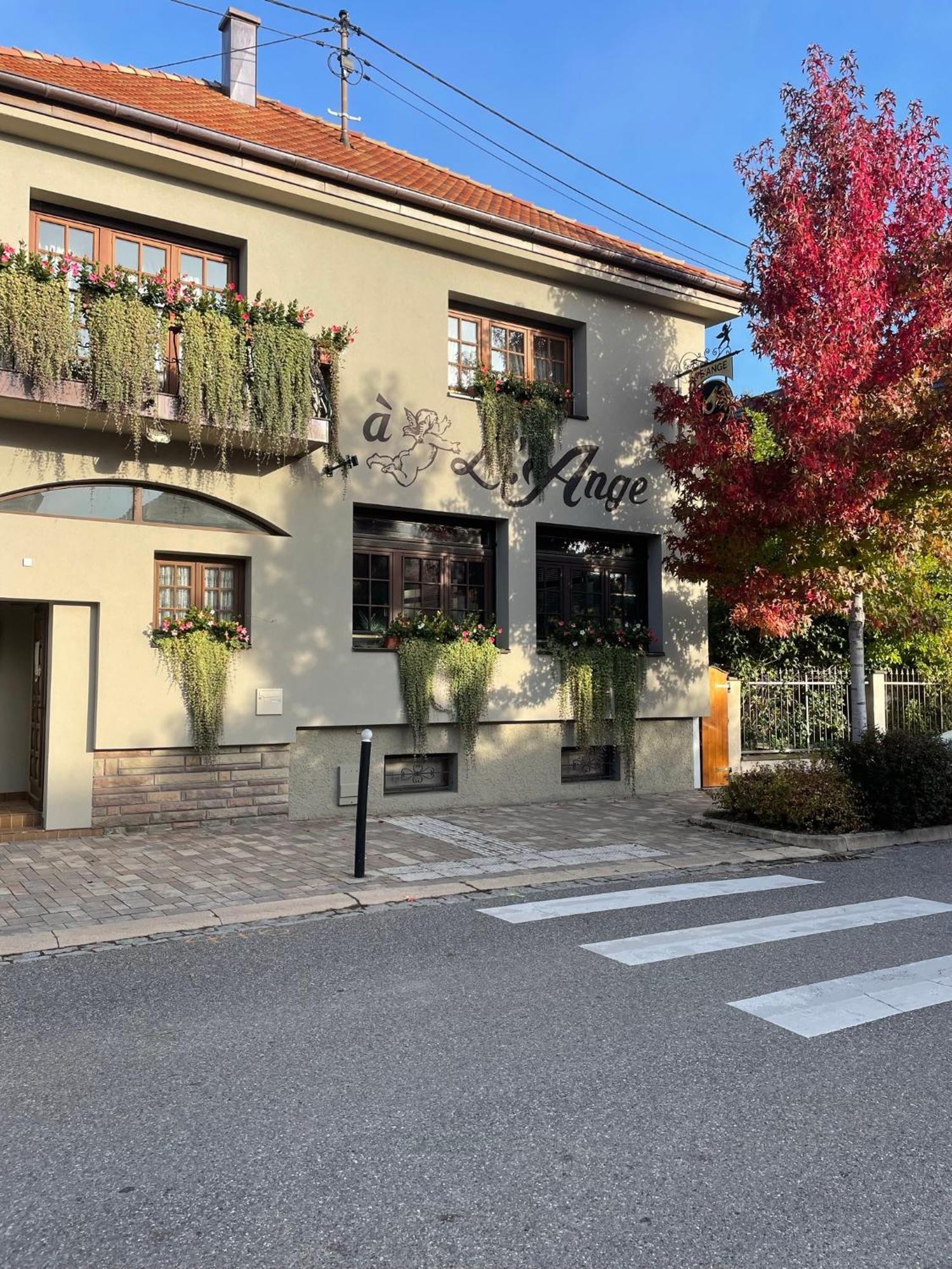 Hotel Restaurant Les Alizes Lipsheim Exterior photo