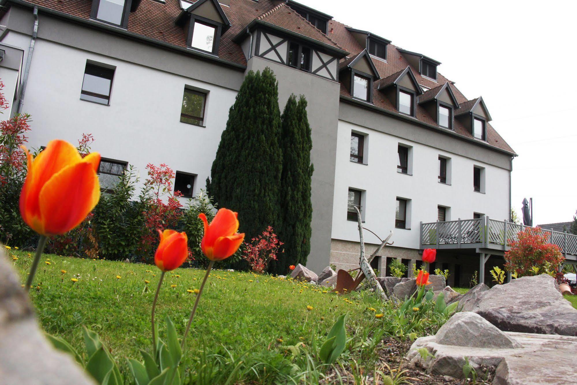 Hotel Restaurant Les Alizes Lipsheim Exterior photo